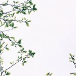Backgrounds Wallpapers Backgrounds Free iPhone Wallpapers