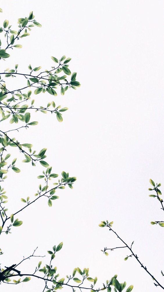 Backgrounds Wallpapers Backgrounds Free iPhone Wallpapers