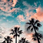 Backgrounds Wallpapers Backgrounds Free iPhone Wallpapers