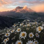 50 foto e meme per migliorare il tuo umore #Foto #Meme #migliorare #tuo #umore