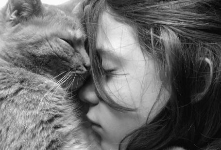 If there’s one thing your cats definitely love more than food, it’s you, the human who gives them love and affection.