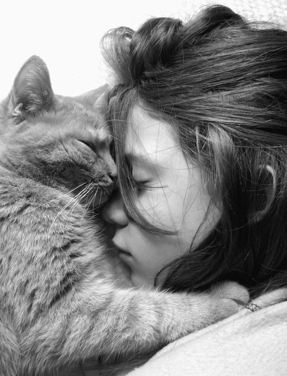 If there’s one thing your cats definitely love more than food, it’s you, the human who gives them love and affection.