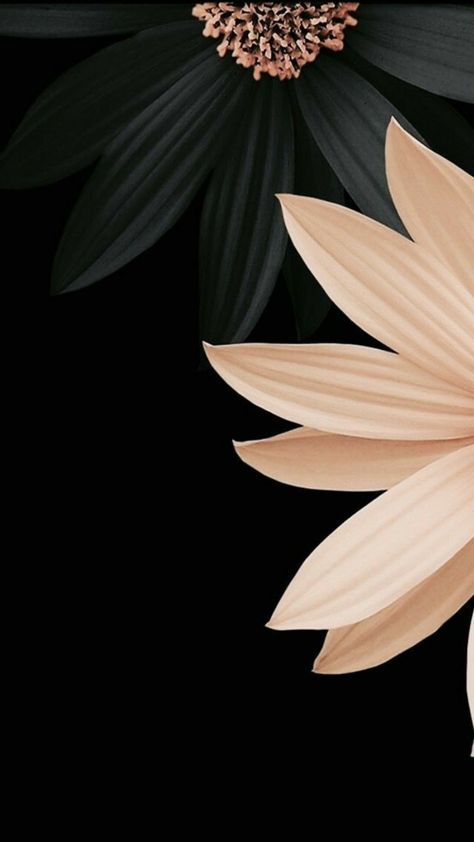 67+ Trendy Flowers Background Wallpapers Sunflower