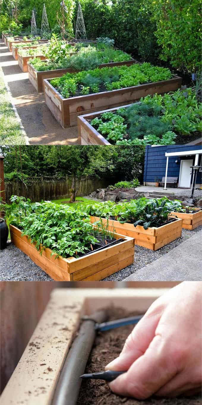 Detailed guide on how to build raised bed gardens! Lots of tips and ideas on best designs, soil, and materials for productive & beautiful DIY raised beds! A Piece of Rainbow #backyard #gardens #gardening backyard, landscaping, gardening tips, 