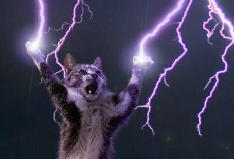 All hail the Lightning God Cat (a nice phone wallpaper)