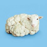 Artist Creates Strange Combinations That Unexpectedly Make A Lot Of Sense - 9GAG