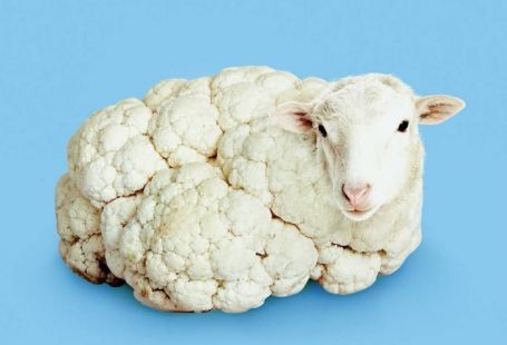 Artist Creates Strange Combinations That Unexpectedly Make A Lot Of Sense - 9GAG