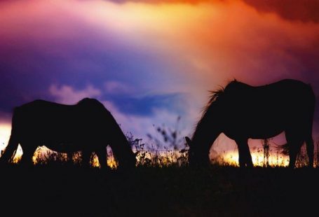 Premium Wandfolie »Tanja Riedel: Wilder Westen Abendstimmung«