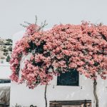 Gorgeous Villages Of Milos You Cannot Leave Greece Without Seeing