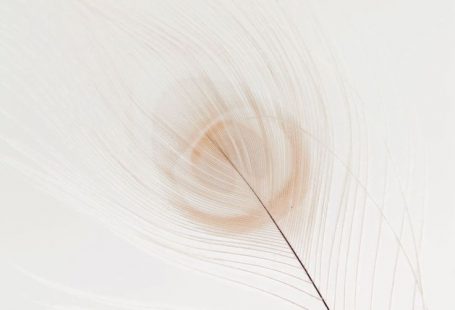 #colour #color #white #feather