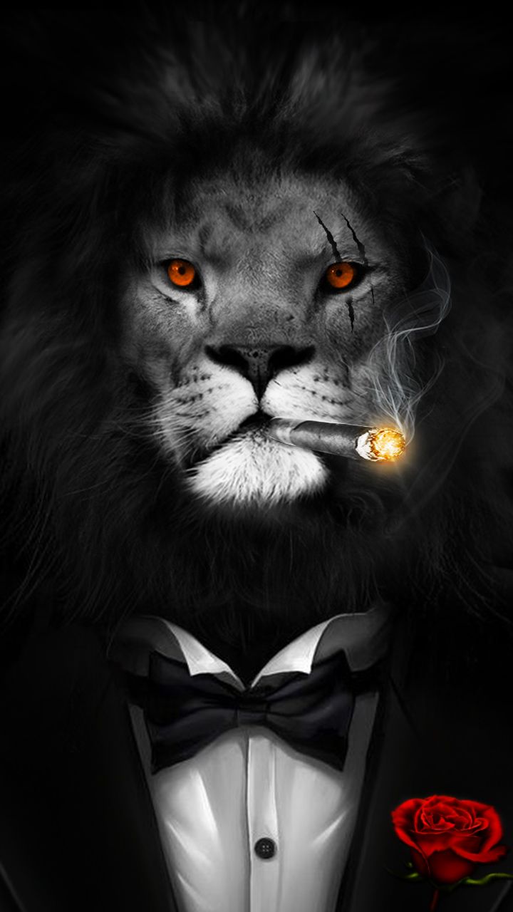 Big Boss! Courage, Bravery and Smart. #Lion #Wallpaper