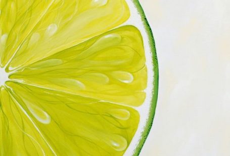 Eine Limettenscheibe mit Aquarellfarben zeichnen, schöne und leichte Zeichnungen für Anfänger