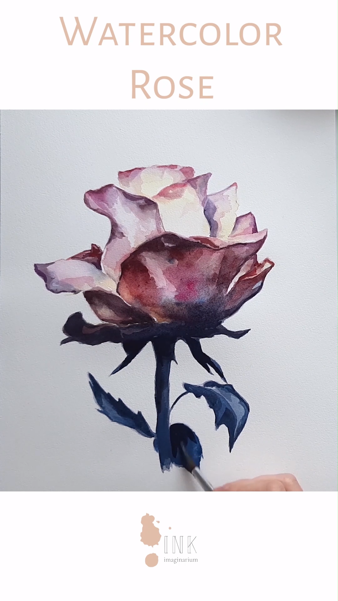 Enjoy watching the creative process behind this watercolor painting, how this beautiful rose is created and click if you want to see more videos in the blog! All painted by the visual artist Laura Manteca Martin from Ink Imaginarium. . . . . #watercolorvideo #watercolorprocess