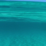 Ever wonder why the Caribbean water is so blue? Here