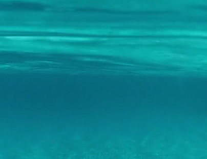 Ever wonder why the Caribbean water is so blue? Here