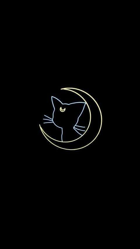 Chic small cat tattoos design ideas for elegant lady