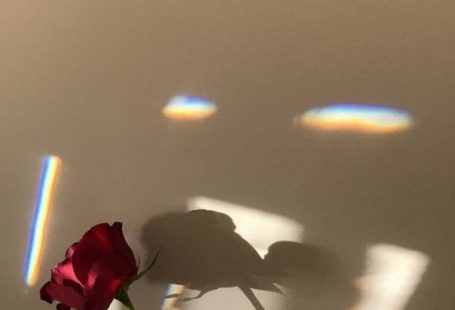 A collection of simple wallpaper to make your computer desktop perfect