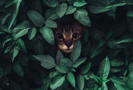 Ocean inspired & family owned clothing company. 🌴🌴🌴🌴🌴 ↓ SHOP NOW ↓ USAPALM.COM