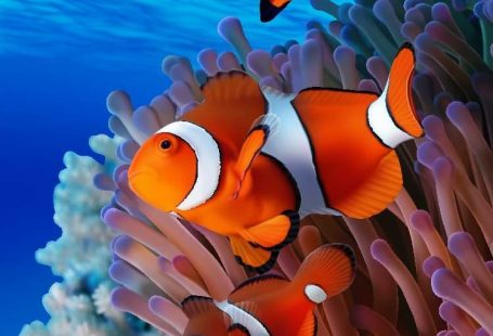 Coral Reef Nemo Endangered Beach Towel