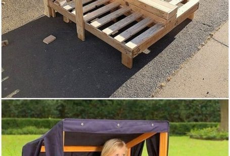Each single year there are so many designs and styles of the pallet creations that are being changing upon because of the wide range of options being coming into the way. Wood pallet do offer you with numerous account of ideas and creative projects of the furniture to welcome in your home right at the …