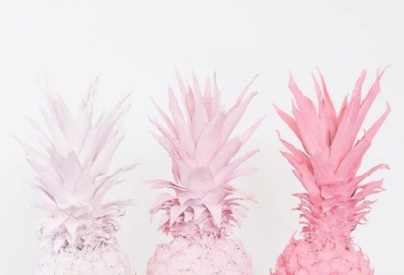 DIY Ombre Pink Spray Painted Pineapples