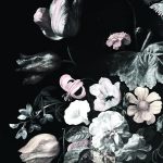 Dark Floral Mural // Still Life Flowers - Rachel Ruysch