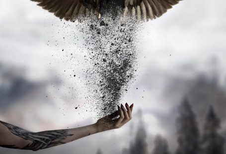 Dark Photo Manipulations by skip_closer