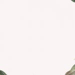 Tropical botanical leaves background illustration
