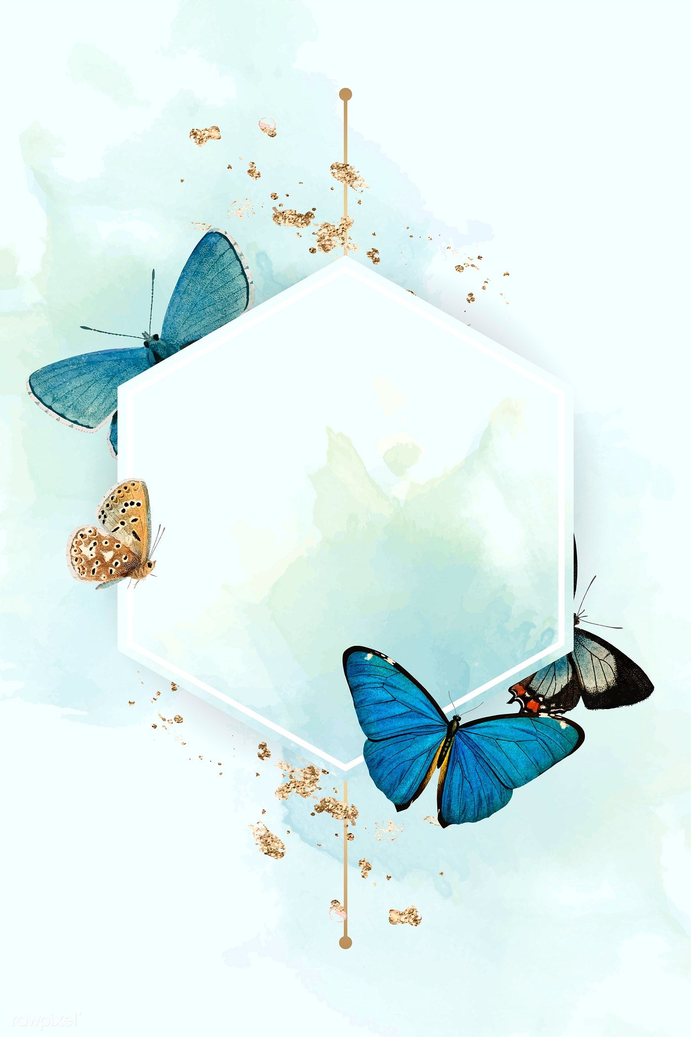 Hexagon frame with blue butterflies patterned background vector | premium image by rawpixel.com / Kappy Kappy