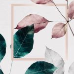 Pink and green leaves with pink square frame, 4k iphone and mobile phone wallpaper