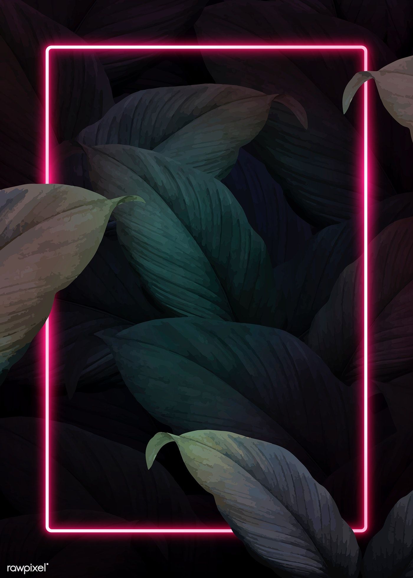 Rectangle pink neon frame on tropical leaves background vector | premium image by rawpixel.com / manotang