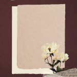 White peonies on paper textured background vector