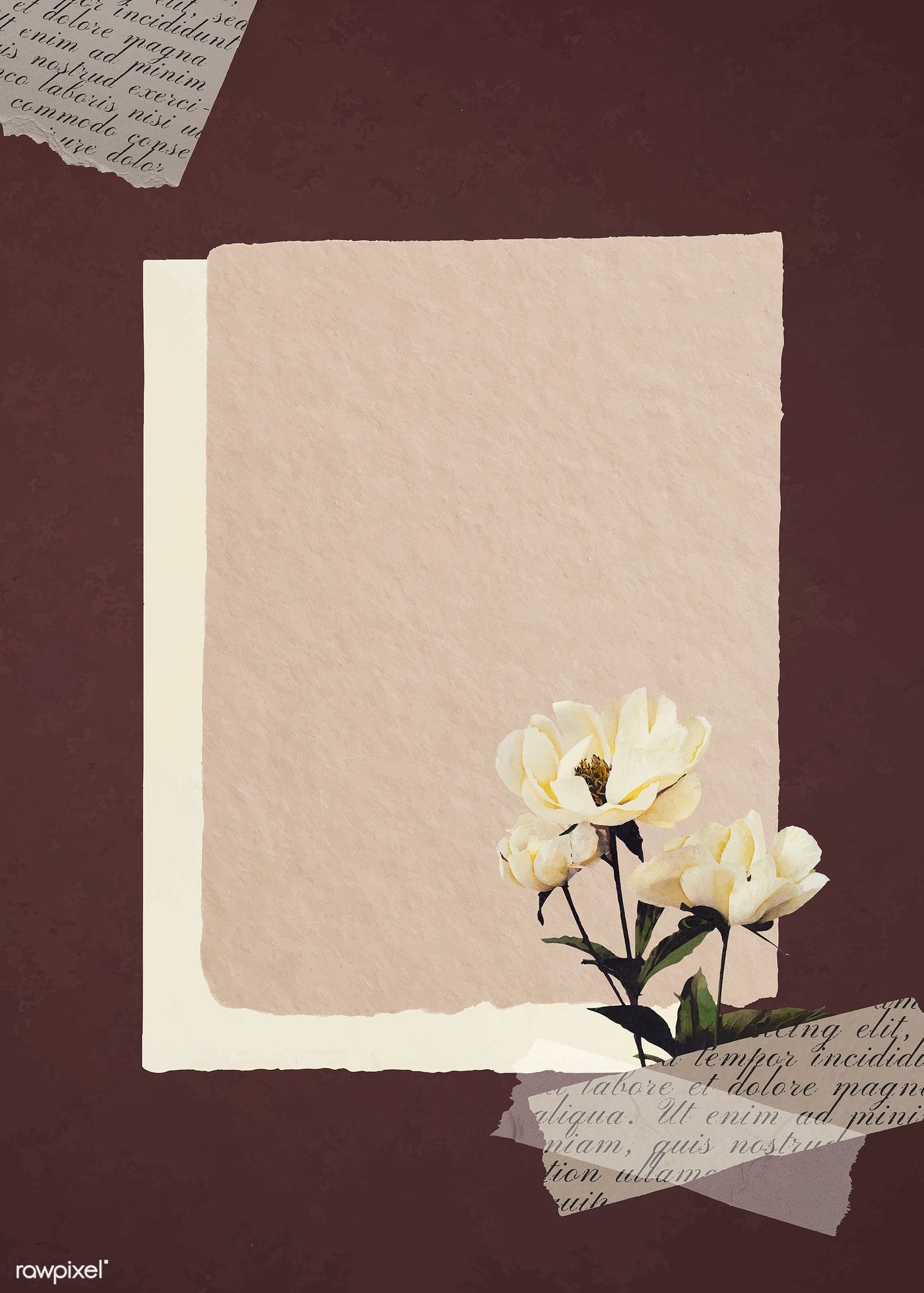 White peonies on paper textured background vector | premium image by rawpixel.com / ploy