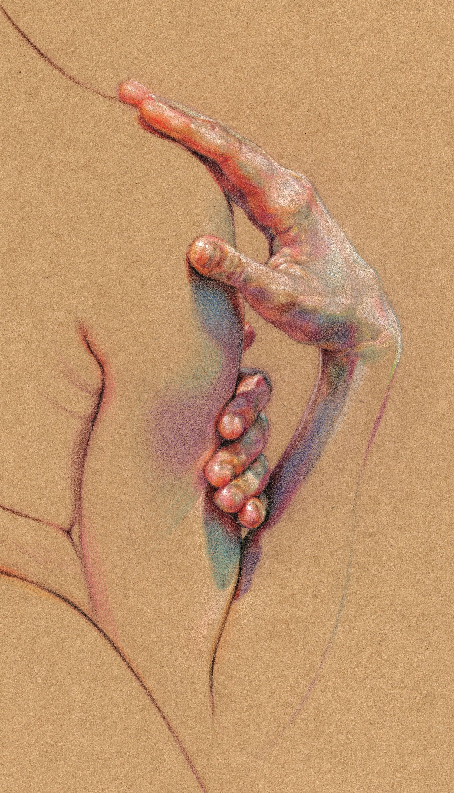 Dramatic Anatomical Drawings Comprised of Complex Hatched Colors by WanJim Gim