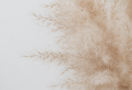 ELLE INTERIEUR - blog interior & living  #pampasgras Patty Bubness