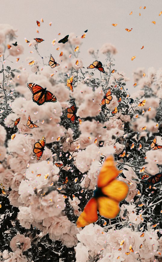 Edit #lockscreenwallpaper #lockscreenwallpaper Edit #lockscreenwallpaper #collagewalls Edit 