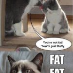FAT FAT FATTT #grumpy