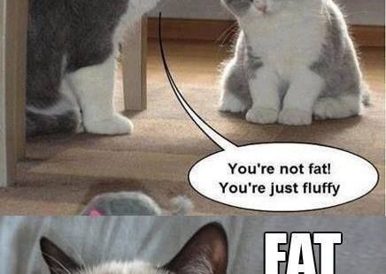 FAT FAT FATTT #grumpy