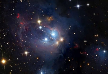 Fondos, Backgrounds, Lockscreens y Wallpapers - The Media Style 🌙