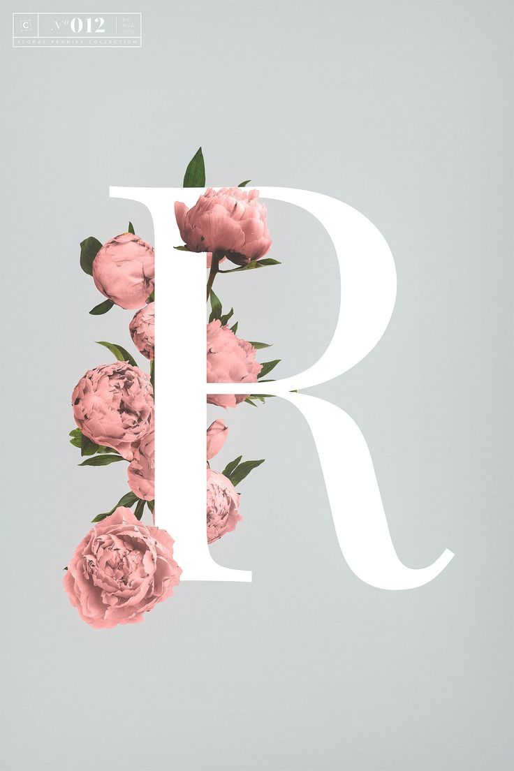 Floral Peonies Collection by Román Jusdado on Creative Market  #ideas #creative #inspiration #creativemarket 