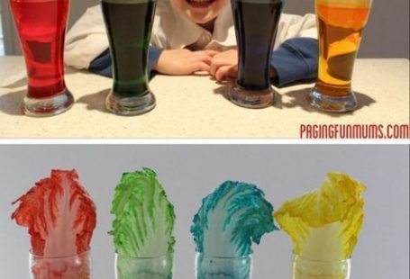 Fun & Creative Science Experiments for Kids - #Creative #Experiments #fun #Kids #learning
