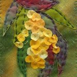 Dye-rag Wattle - Deborah Wirsu