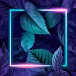 Trendy and the most popular phone wallpapers, hope you will like it! Visit our blog to check out “How to choose the ideal phone wallpaper?”  #wallpaper #phonewallpaper