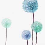 Hydrangea PNG and Clipart