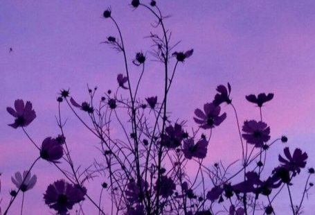 You can get your purple room inspiration from anywhere. Discover more inspiration at insplosion.com