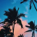 IPhone Hintergrundbild - Schönes Zeichnung pro Handy. Kommen und wenige Tipps Kontakt haben ... - Wallpaper Iphone #besuchen #Bild #einige #für
