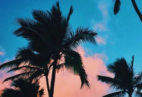 IPhone Hintergrundbild - Schönes Zeichnung pro Handy. Kommen und wenige Tipps Kontakt haben ... - Wallpaper Iphone #besuchen #Bild #einige #für