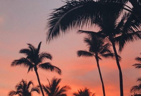 ✰ ig: ✰✰ ::… Klicken Sie hier, um das Hintergrundbild für den Sommer herunterzuladen. Downloa... #downloadcutewallpapers ✰ ig: ✰✰ ::… Klicken Sie hier, um das Sommer-Hintergrundbild herunterzuladen. Sommer-Hintergrundbild herunterladen: ✰ ig: ✰✰ Here...  #das #den