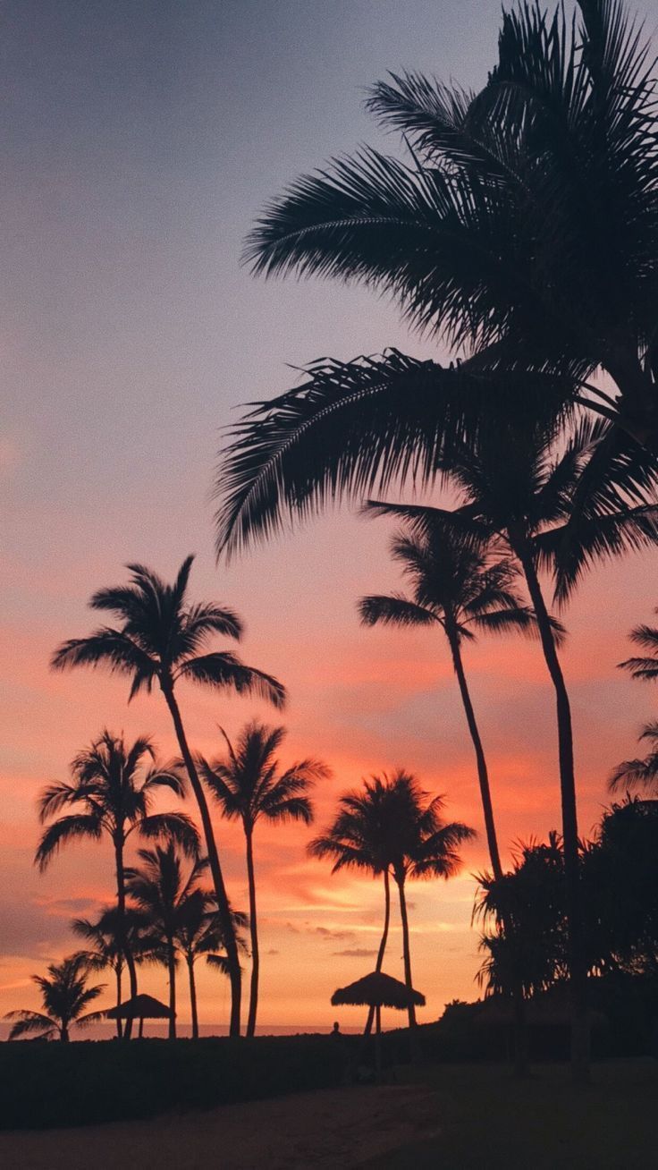 ✰ ig: ✰✰ ::… Klicken Sie hier, um das Hintergrundbild für den Sommer herunterzuladen. Downloa... #downloadcutewallpapers ✰ ig: ✰✰ ::… Klicken Sie hier, um das Sommer-Hintergrundbild herunterzuladen. Sommer-Hintergrundbild herunterladen: ✰ ig: ✰✰ Here...  #das #den 