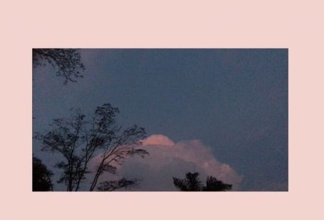 Shared by 𝖗𝖊𝖊𝖘𝖊. Find images and videos about pink, quotes and aesthetic on We Heart It - the app to get lost in what you love.